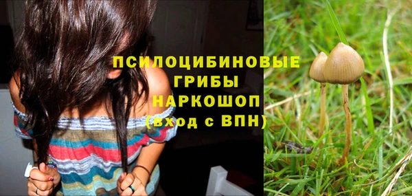 индика Алексеевка