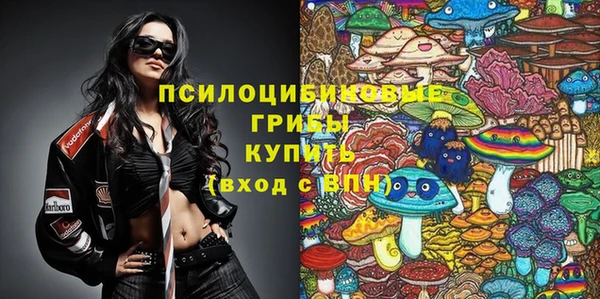 индика Алексеевка